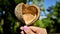 Holding dried hull of basiloxylon brasiliensis fruit in the park