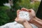 Holding freezing granulated hail ice crystals, grains in hands after strong hailstorm in autumn, fall.