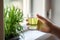 holding a glass of rejuvelac next to a plant on a windowsill