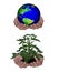 Holding globe/plant