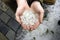 Holding hail stones in hand after hailstorm