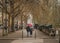 Holding hands in the Paris Rain