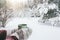 Holding mug with tea over snowy view