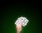 Holding Poker cards