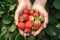 Holding a strawberry