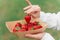 Holding strawberry in hand. Strawberries in disposable eco plate on green background. Seasonal red berry