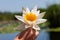 Holding water lily at the Danubian Delta