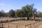 Holding yards for sheep in outback Queensland