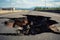 A hole in the ground in the middle of the road. A large pit in the asphalt due to a pipeline accident