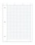 Hole punched quad ruled filler paper for three ring binder