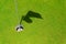 Hole on putting green with flag stick and shadow of flag. hole or target point for success concept . copy space for your text