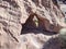 Hole in sandstone wall at Valley of Fire, Nevada