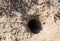 Hole of an unknown animal in the steppe