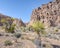 Hole-in-the-Wall, Banshee Canyon, Mojave National Preserve, CA