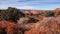 Holeman Spring Canyon Overlook at Canyonlands National Park, Utah, USA