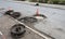 Holes and damage on an asphalt road, secured by red and white shut-off cones because of the risk of accidents