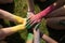 Holi Fest festival womens hands folded as a sign of friendship. Colorfest in the city park. Hand brushes in dry