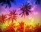 Holiday background made of palm trees silhouettes at sunset