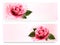 Holiday banners with pink beautiful roses.