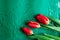 Holiday Bouquet of Red Flowers on blue background. beautiful background of fresh tulips, symbol of warmth and spring