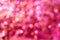 Holiday bright pink lights bokeh background