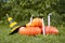 Holiday candles burning on orange halloween pumpkins and black and yellow witch hat in the park on a background of trees