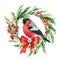 Holiday card of bullfinch, Christmas wreath on white background, watercolor drawings