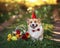 Holiday card with a cute corgi dog sitting on a green meadow in the garden with a basket of flowers and in a hat among sun glare