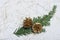 Holiday card with fir branch and golden cones