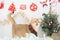 holiday and cat concept with british cat wear silk scarf and play with pine and christmas tree decorate background