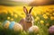 Holiday celebration banner with cute Easter bunny with decorated eggs and spring flowers on green spring meadow. Rabbit in