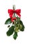 Holiday Christmas Mistletoe