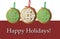 Holiday Christmas Ornaments Card