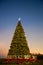 Holiday Christmas tree with illuminated star