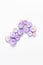 Holiday concept. minimalistic pattern of fresh purple color flowers on a white background.