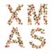 Holiday concept. Word XMAS on white background.Symbol letters collected from the Christmas decor - acorns, cones, berries and