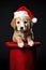 Holiday dog cute pet christmas background animal puppy