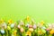 Holiday Easter background with eggs and flowers with copy space