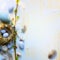 Holiday Easter banner or greeting card background; Spring tree flowers and Easter eggs in birds nest on sunny light  wooden