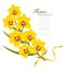 Holiday flowers background with yellow orchids and gold ribbon.