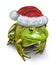 Holiday Frog