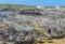 Holiday makers enjoy the Cornish summer weather at ,Booby`s Bay,Trevose,North Cornwall