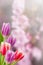 Holiday Nature Floral Background