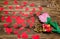 Holiday/romantic/wedding/valentine day background with plush rose, gift box, small hearts and gold ribbon on wooden table.