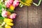 Holiday spring background. Mother`s Day holiday wooden backdrop frame decorated with colorful tulip flowers and mimosa flower