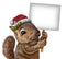 Holiday Squirrel Sign