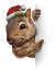 Holiday Squirrel Vertical