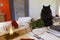 Holiday Table with Black Cat