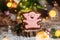 Holiday traditional food bakery. Gingerbread lucky pink pig with 2019 text in cozy warm decoration with garland lights