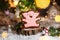 Holiday traditional food bakery. Gingerbread lucky pink pig with 2031 text in cozy warm decoration with garland lights